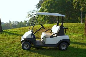 wit golf kar geparkeerd Aan de golf Cursus met ochtend- zonlicht