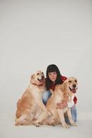 vrouw is met haar twee gouden retrievers in de studio tegen wit achtergrond foto