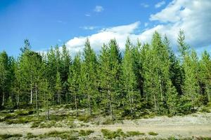 landschap in Zweden, Europa foto