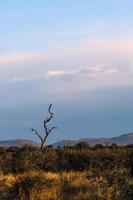 landschappen van zuidelijk Afrika foto