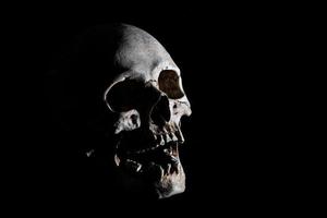 menselijk skelet schedel hoofd geïsoleerd Aan zwart foto