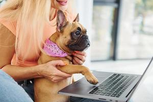 gebruik makend van laptop. vrouw met mopshond hond is Bij huis Bij dag foto