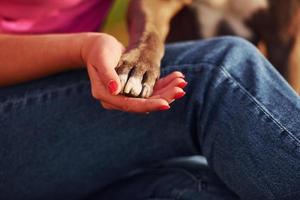 vrouw in gewoontjes kleren is met pit stier buitenshuis foto