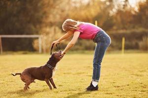 spelen samen. vrouw in gewoontjes kleren is met pit stier buitenshuis foto