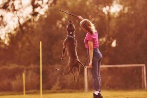 Aan sportief veld. vrouw in gewoontjes kleren is met pit stier buitenshuis foto