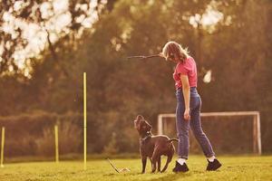 Aan sportief veld. vrouw in gewoontjes kleren is met pit stier buitenshuis foto