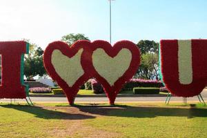 de bloem tuin heeft een mooi hartvormig ik liefde u symbool. versierd met kleurrijk bloemen versierd in de tuin - naar worden een toerist Check in punt en een mijlpaal. foto