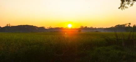 dramatisch zonsondergang in de veld- foto