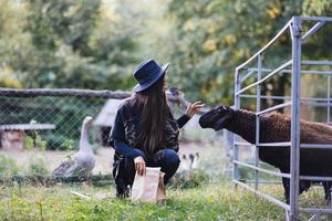 een jong mooi vrouw feeds een schapen in de dorp foto