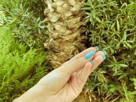 exotisch bomen in een heet, tropisch land. palm bomen met groente, groot bladeren. hand- van een meisje met een turkoois manicuren, rust uit van een toerist Aan de zee foto