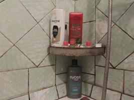 kiev, Oekraïne - december 10, 2022 shampoo en andere hygiëne producten in de appartement foto