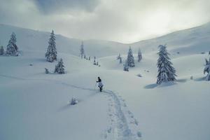 eenzaam reiziger in beweging door sneeuw landschap foto