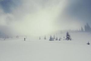 eenzaam skiën spoor landschap foto