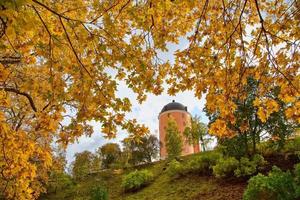 vallen in uppsala foto