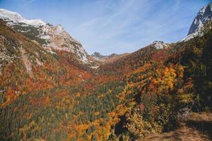 keer bekeken van in de omgeving van triglav nationaal park in Slovenië foto