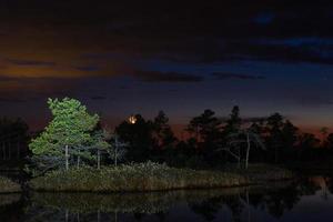 nacht landschappen in de Open lucht foto