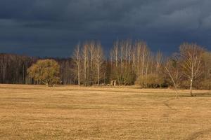 vroeg voorjaar landschappen foto