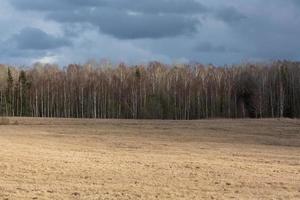 vroeg voorjaar landschappen foto