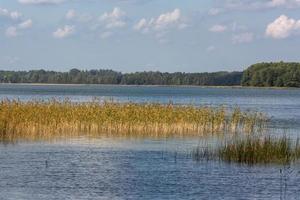 zomer landschappen door de meer in Litouwen foto