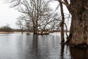 soomaa nationaal park in overstromingen foto