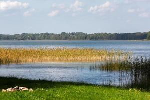 zomer landschappen door de meer in Litouwen foto