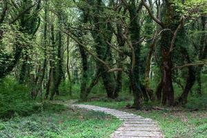 voorjaar landschappen van de bergen van Griekenland foto