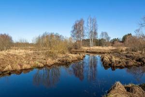 vroeg voorjaar landschappen foto