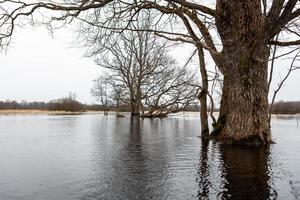 soomaa nationaal park in overstromingen foto