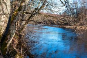 soomaa nationaal park in overstromingen foto