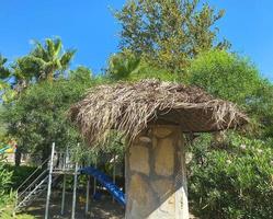 douche hokje Rechtsaf Aan de strand. de douche is gedekt met natuurlijk takken en beige gras. het wassen na zwemmen in de zout zee foto