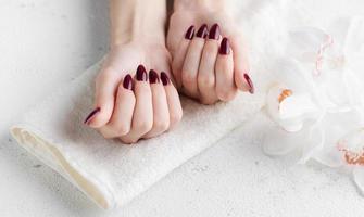 handen van een jong vrouw met donker rood manicure Aan nagels foto