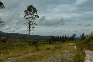 een visie van een mistig lucht in sibolangit noorden sumatera met een niet verwacht voorwerp is een vogel vlieg in de midden- van de afbeelding foto