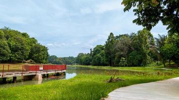 mooi natuurlijk Lanscape landschap, meer met houten brug, natuur behang, landschap achtergrond foto