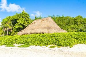 playa del carmen quintana roo Mexico 2022 palapa dak toevlucht in tropisch strand playa del carmen Mexico. foto