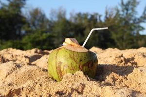 reizen naar eiland phuket, Thailand. een kokosnoot met rietje Aan de zanderig strand in de zonnig het weer. foto