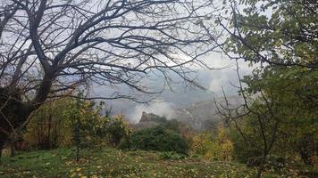 Woud en nevelig landschap met bergen foto