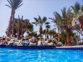 visie naar de palm bomen en stenen van de warm Doorzichtig zwembad foto