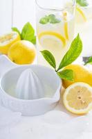 maken eigengemaakt limonade met keramisch sapcentrifuge foto