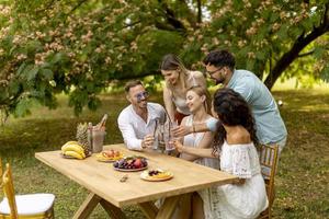 groep van gelukkig jong mensen juichen met vers limonade en aan het eten fruit in de tuin foto