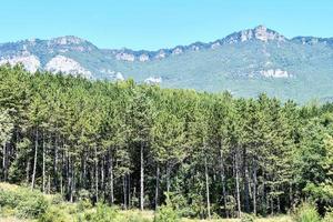 berglandschap in de zomer foto