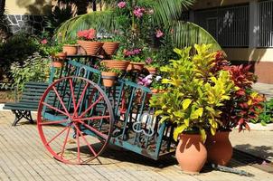 wagon en planten foto