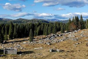 berglandschap in de zomer foto