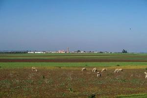 landschap in Marokko foto