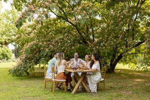 groep van gelukkig jong mensen juichen met vers limonade en aan het eten fruit in de tuin foto