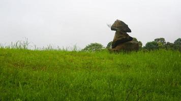 gestapeld stenen opgestapeld in de mooi groen gras foto