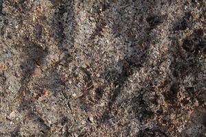 gedetailleerd dichtbij omhoog visie Aan een bruin zand grond structuur foto