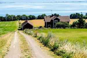 landschap in Zweden, Europa foto