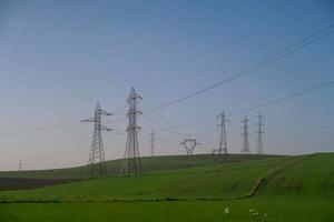 landschap in de zomer foto