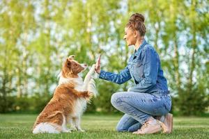 chocola wit grens collie met vrouw eigenaar foto