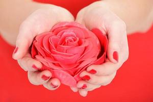 handen Holding een rood roos foto